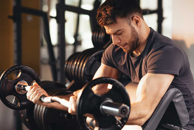 Gym Equipment for Strength Building: The Best Muscle Building Machines