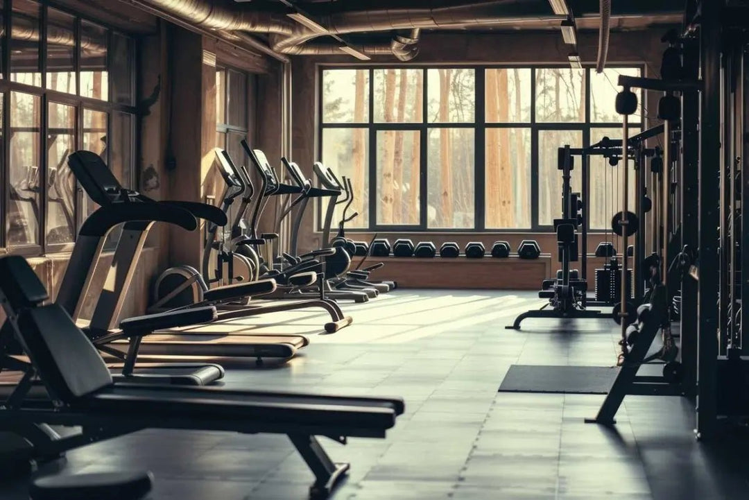 What is the most useful gym equipment? Top picks for efficient workouts - Gym Concepts