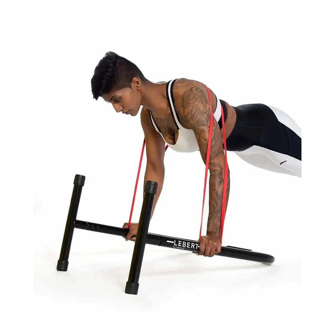 Lebert Equalizer Parallel Dip Bars- XL Strength &amp; Conditioning Lebert