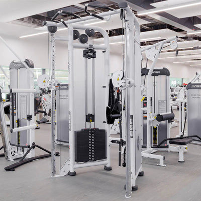 Life Fitness Signature Series Dual Adjustable Pulley Strength Life Fitness