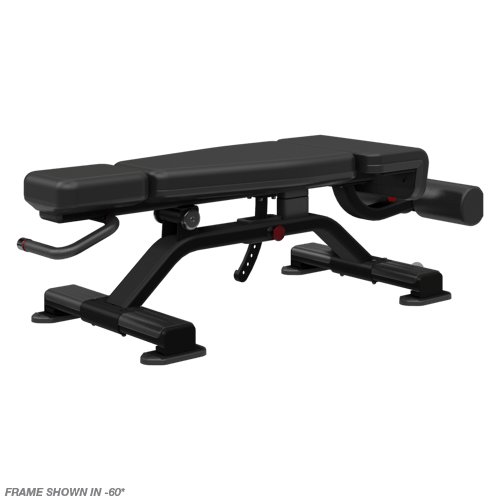 Nautilus Adjustable Decline Bench Commercial Nautilus
