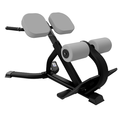 Nautilus Instinct 45 Degree Back Extension Bench Commercial Nautilus