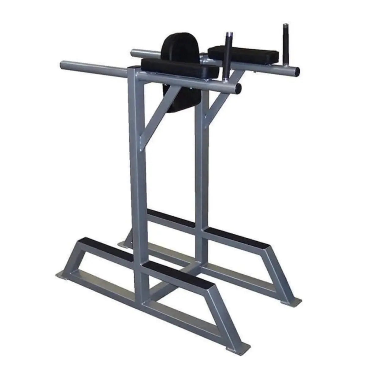Power Body #1223 Leg Raise Commercial Power Body