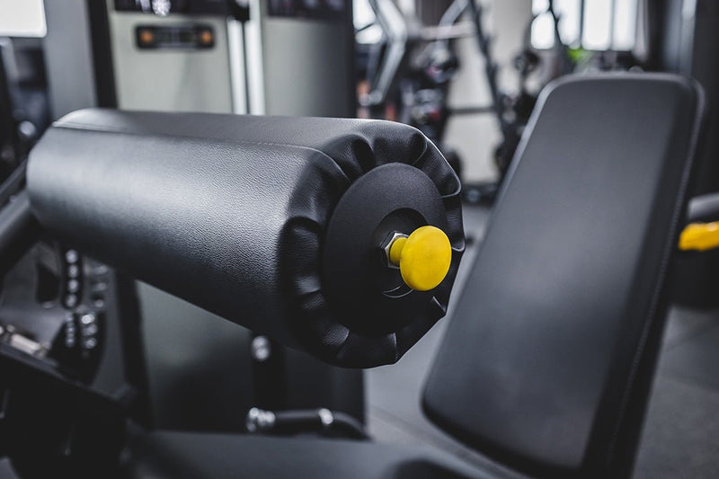 Spirit Leg Extension & Leg Curl Commercial Spirit Fitness