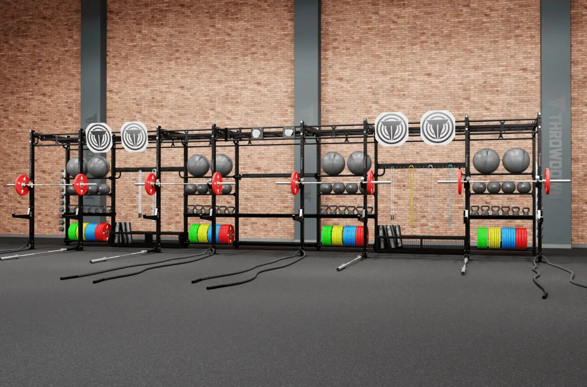 Throwdown XTC Rig - Versatile and Customizable Functional Training Rig