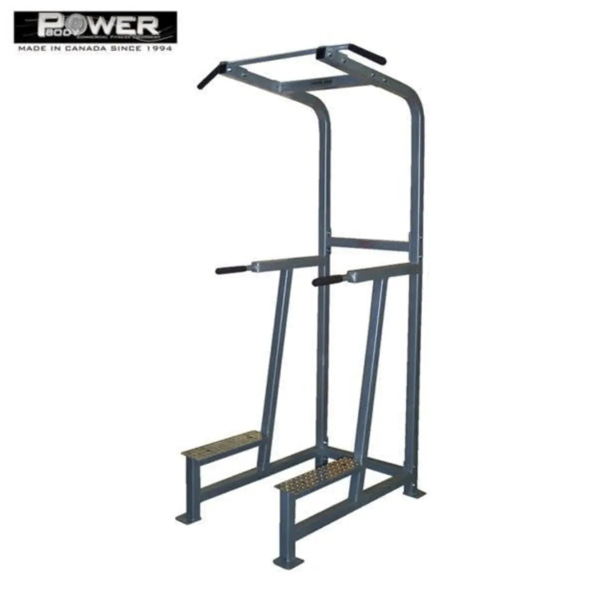 Power Body #1206 Dip / Chin Combo Commercial Power Body
